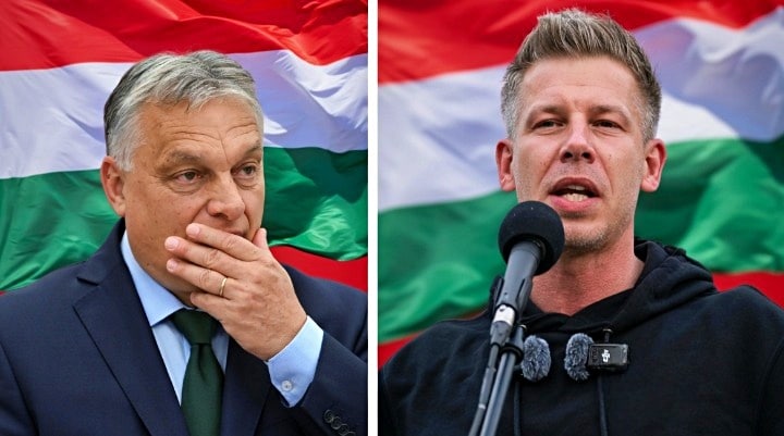 Ungheria. Fine dell’era Orban, Magyar stravince